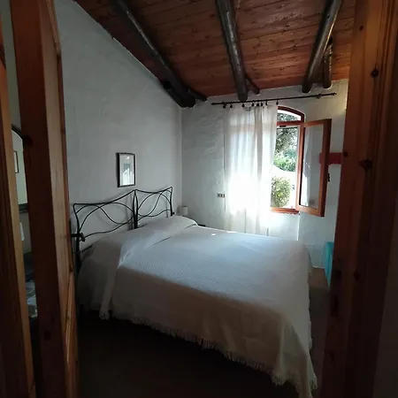 Villa Mediterranean In Sardinia